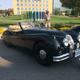 Illustration for article titled 2017 Des Moines Concours dElegance Photo Dump